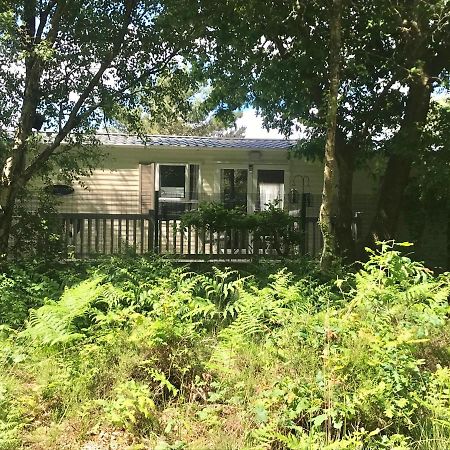 Oakdene Forest Park Ringwood Exterior foto