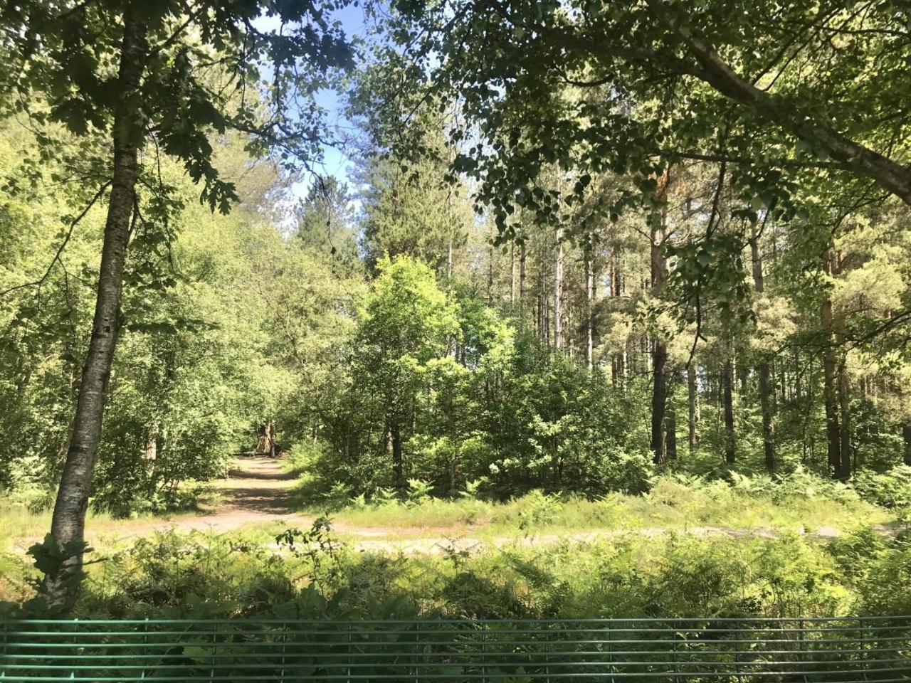 Oakdene Forest Park Ringwood Exterior foto