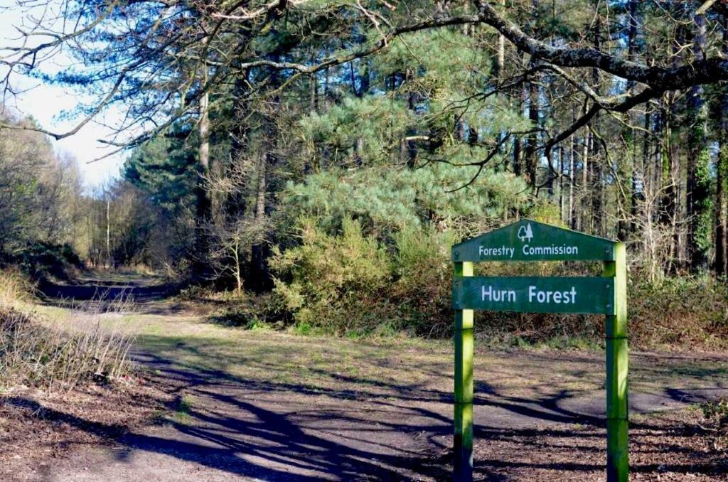 Oakdene Forest Park Ringwood Exterior foto